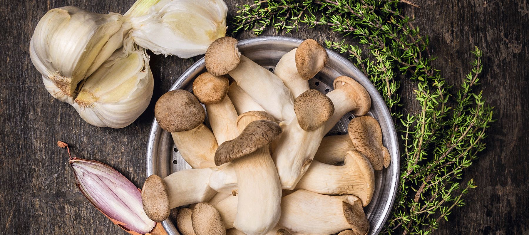 Bio-Power-Rezepte
